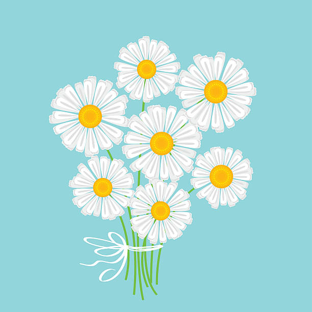 Daisy image